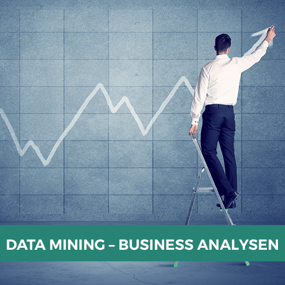 Data Mining und Business Analyse